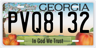 GA license plate PVQ8132