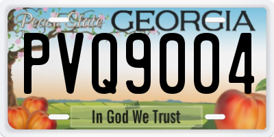 GA license plate PVQ9004