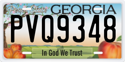 GA license plate PVQ9348
