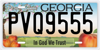 GA license plate PVQ9555