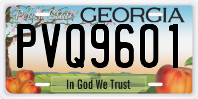 GA license plate PVQ9601