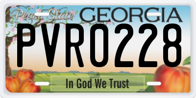 GA license plate PVR0228