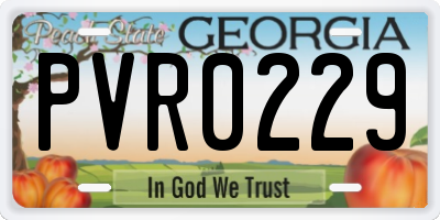 GA license plate PVR0229