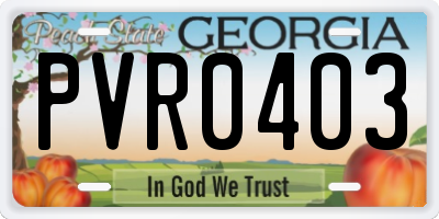 GA license plate PVR0403