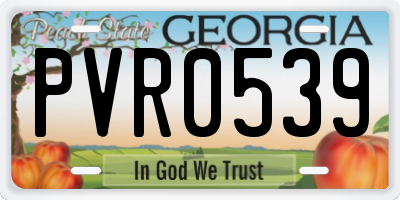 GA license plate PVR0539