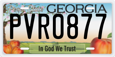 GA license plate PVR0877