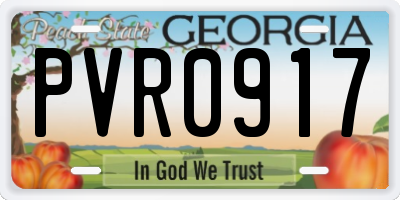 GA license plate PVR0917
