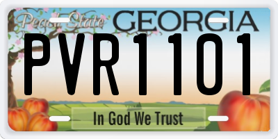 GA license plate PVR1101