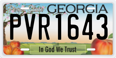 GA license plate PVR1643