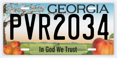 GA license plate PVR2034