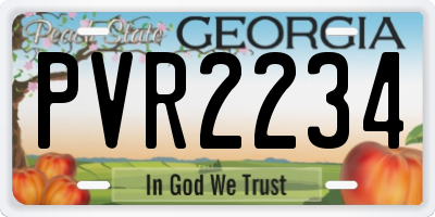GA license plate PVR2234