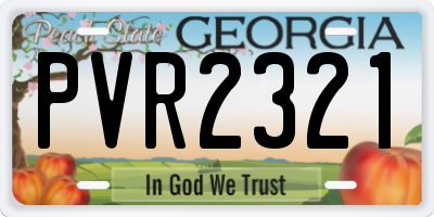 GA license plate PVR2321