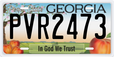 GA license plate PVR2473