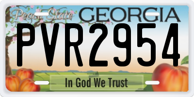 GA license plate PVR2954