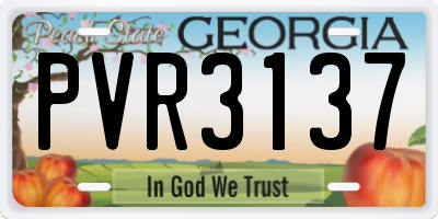 GA license plate PVR3137