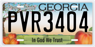 GA license plate PVR3404