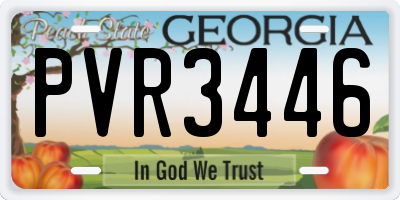 GA license plate PVR3446