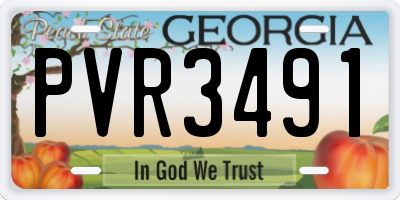 GA license plate PVR3491