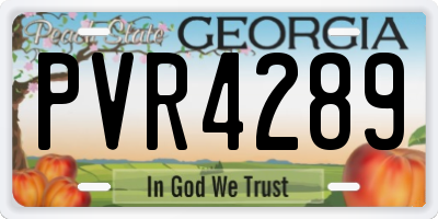 GA license plate PVR4289