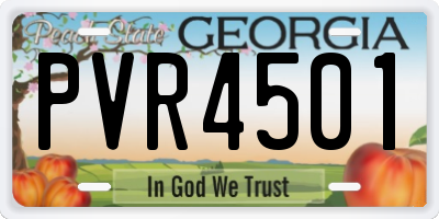GA license plate PVR4501