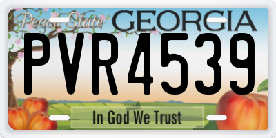 GA license plate PVR4539