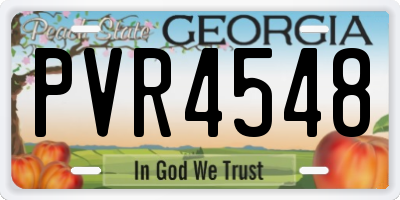 GA license plate PVR4548