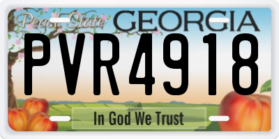 GA license plate PVR4918