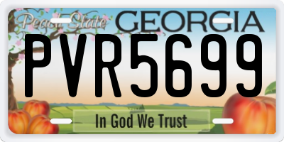 GA license plate PVR5699