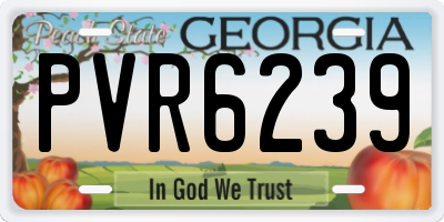 GA license plate PVR6239