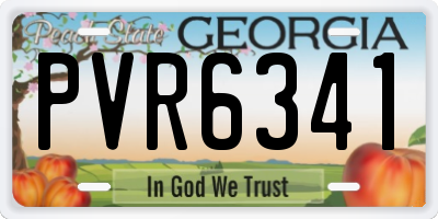 GA license plate PVR6341