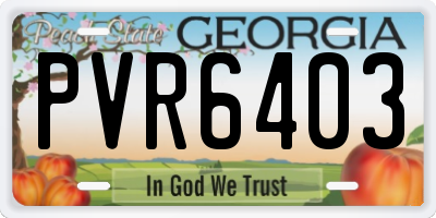 GA license plate PVR6403