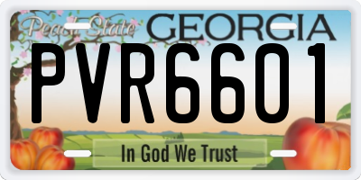 GA license plate PVR6601