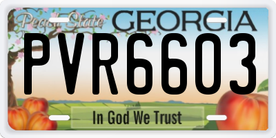 GA license plate PVR6603