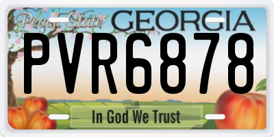 GA license plate PVR6878