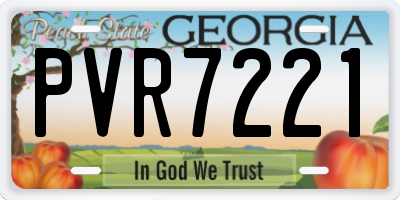 GA license plate PVR7221