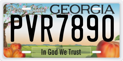 GA license plate PVR7890
