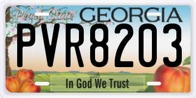 GA license plate PVR8203