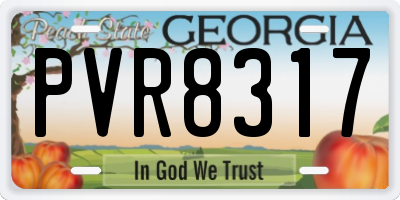 GA license plate PVR8317