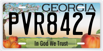 GA license plate PVR8427
