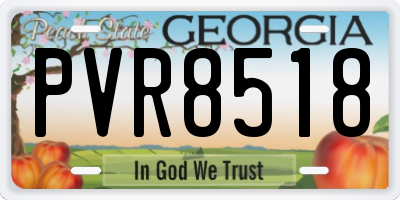 GA license plate PVR8518