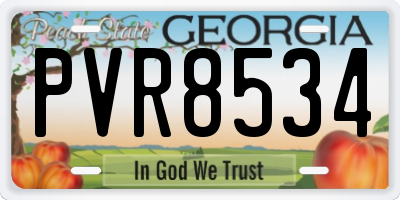 GA license plate PVR8534