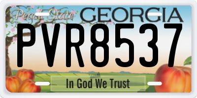GA license plate PVR8537