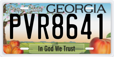 GA license plate PVR8641