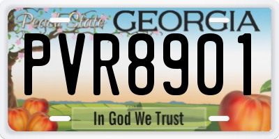 GA license plate PVR8901