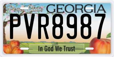 GA license plate PVR8987