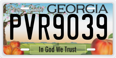 GA license plate PVR9039