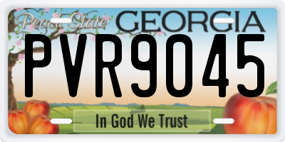 GA license plate PVR9045