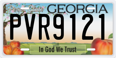 GA license plate PVR9121