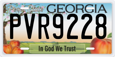 GA license plate PVR9228