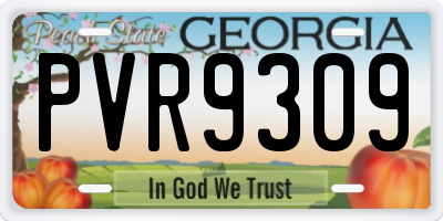 GA license plate PVR9309